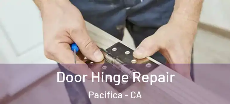  Door Hinge Repair Pacifica - CA