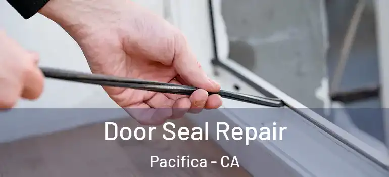  Door Seal Repair Pacifica - CA