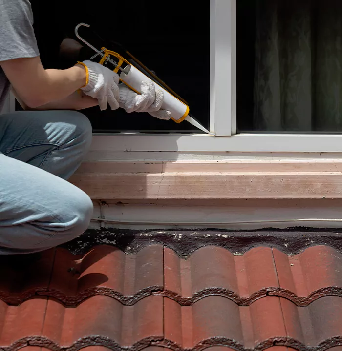Roof Window Services in Pacifica, California