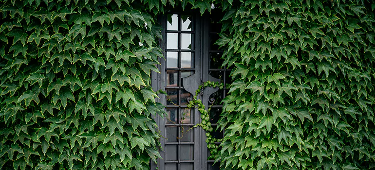 Garden Gate Repair in Pacifica, CA