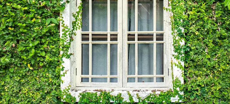 Garden Window Repair Near Me in Pacifica, CA