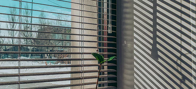 Commercial Window Blinds in Pacifica, CA