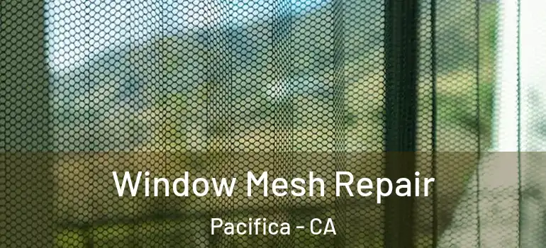  Window Mesh Repair Pacifica - CA