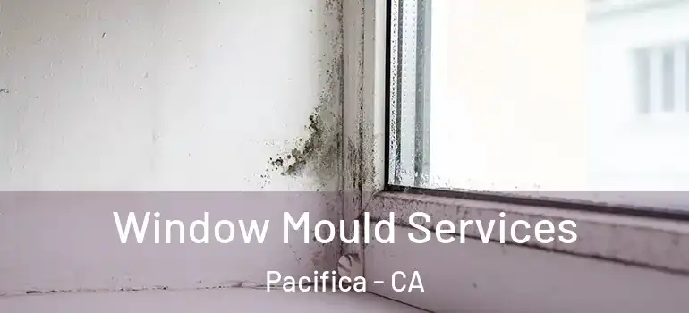  Window Mould Services Pacifica - CA