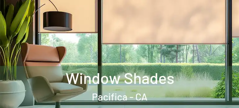  Window Shades Pacifica - CA